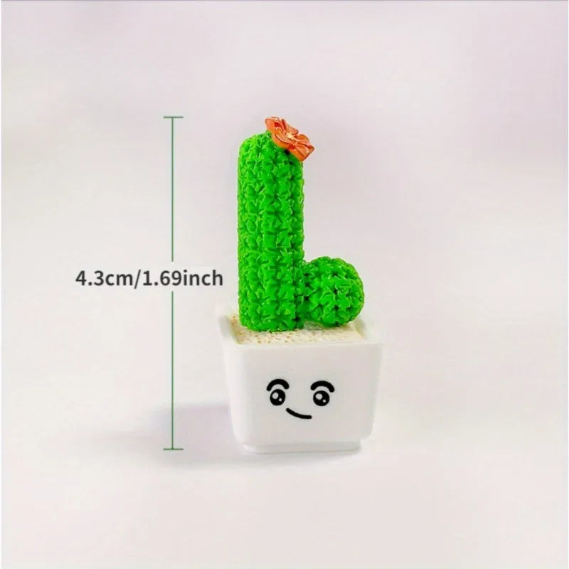 Miniature Cactus Succulent Set – 4PCS