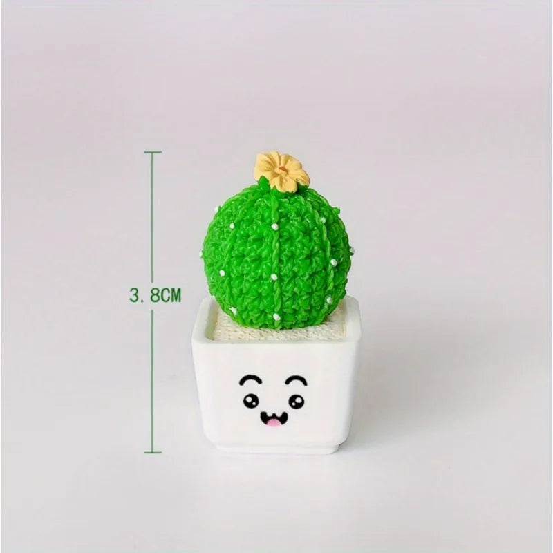 Miniature Cactus Succulent Set – 4PCS