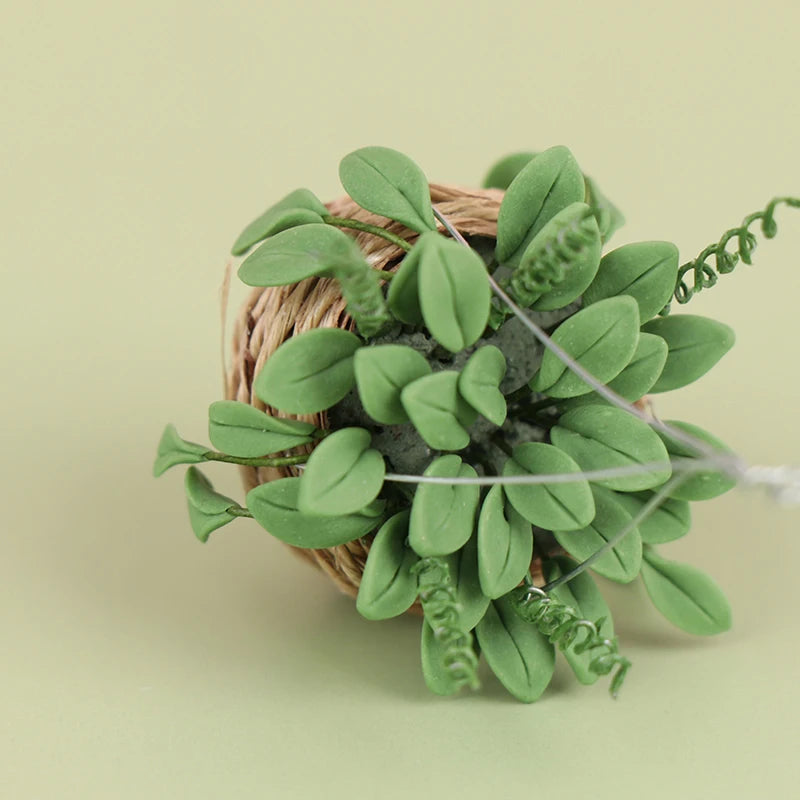 Hanging Basket with plant