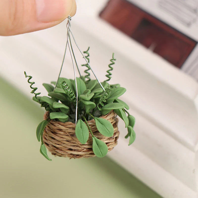 Hanging Basket with plant