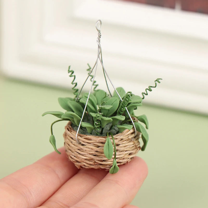 Hanging Basket with plant