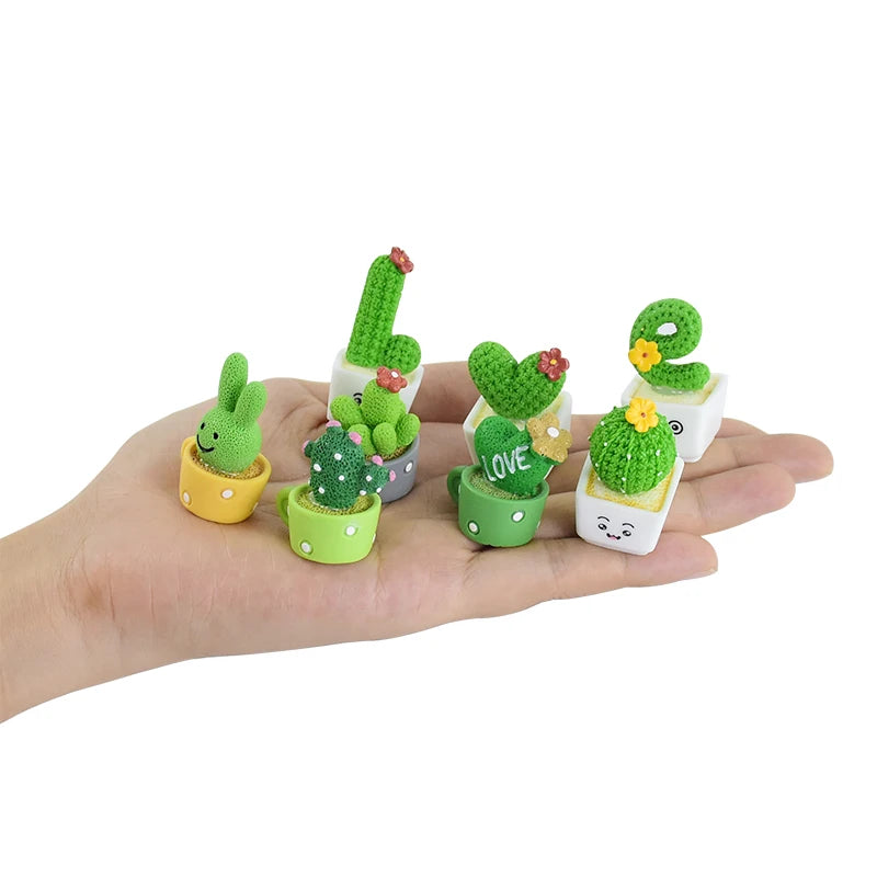 Miniature Cactus Succulent Set – 4PCS