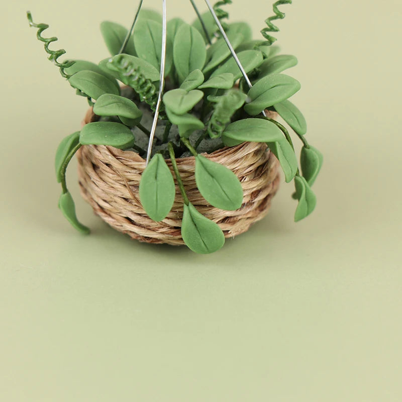 Hanging Basket with plant