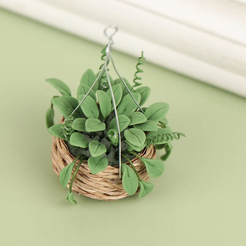 Hanging Basket with plant