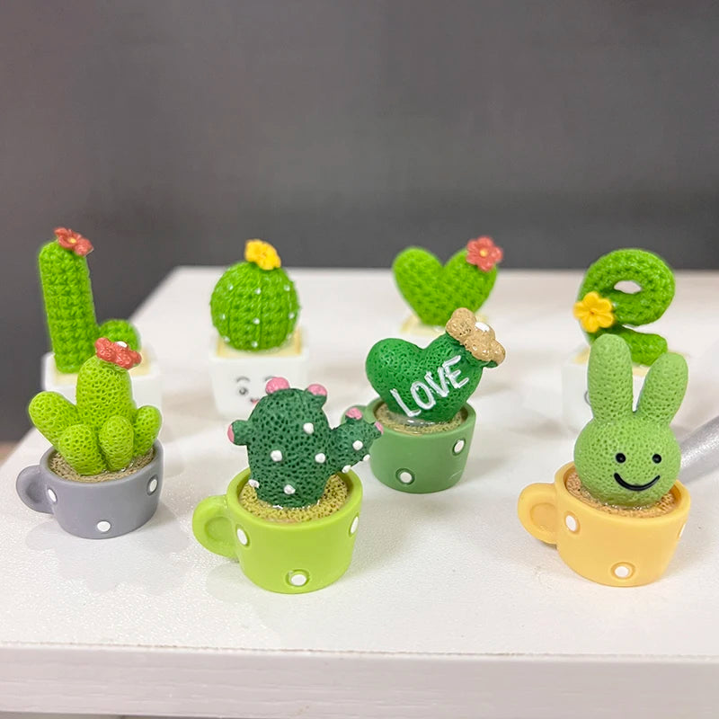 Miniature Cactus Succulent Set – 4PCS