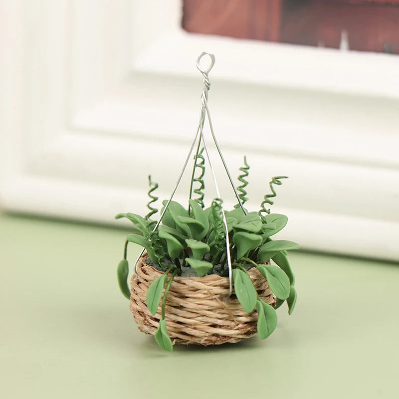 Hanging Basket with plant