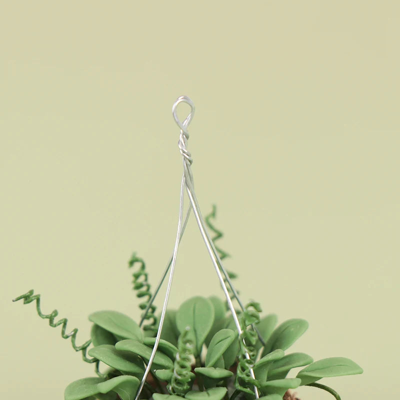 Hanging Basket with plant