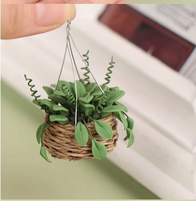 Hanging Basket with plant